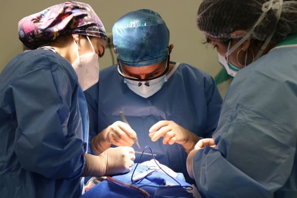 ENT Surgery